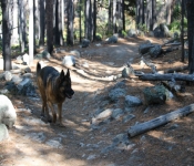 2020 10 05 Montana 026